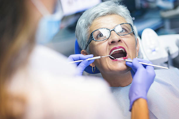 Professional  Holistic Dental Services in Brewer, ME